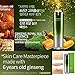 Nature Republic Ginseng Royal Silk Essence 40 Ml Gold Whitening Wrinkle Moist Elasticity Improvement