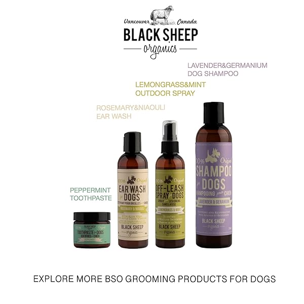 NATURAL DOG EAR CLEANER SOLUTION – DOG ITCHY EARS TREATMENT – ELIMINATES ODOR & WAXY BUILDUP – GENTLE DOG EAR WASH FORMULA – MADE IN CANDA BY BLACK SHEEP ORGANICS (4 FL OZ)