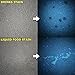 Pet Urine Detector 365NM Black Light Flashlight: PeeDar - Precision UV LED Pee Finder Tool. Locate Cat/Dog/Animal Stains. Uses: Hotel Inspection, Security Marks. 365NM–370NM Finds Invisible Urine Fast