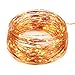 BMOUO 16.4Ft 5-Meter 50leds LED String Lights on Copper Wire LED Starry Décor Rope Lights AA Battery Powered Operated Lighting for Christmas Wedding Holiday and Party (Warm White)