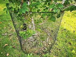 PotatoLife Plastic Hardware Mesh Netting, Garden