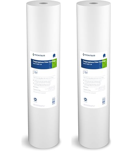 Amazon.com: Pentair Pentek NCP-10 Carbon Water Filter, 10-Inch