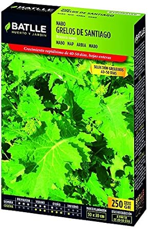 Semillas Batlle - Nabo Grelos Blanco De Lugo Caja 250G: Amazon.es ...