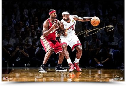 lebron james autographed shoes