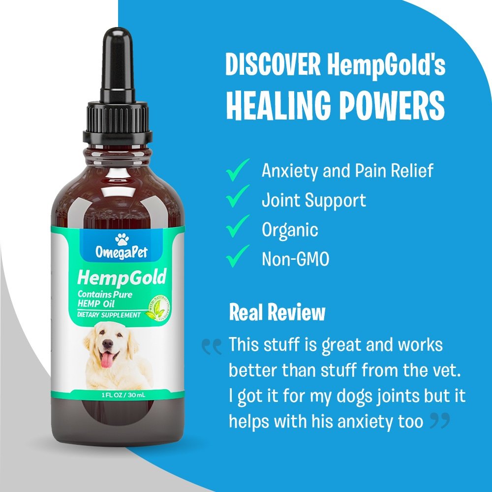Hemp Oil for Dogs and Cats (250 mg) Organic Dog Hemp Oil for Anxiety