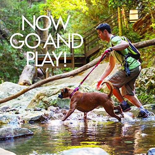 ezydog double up collar large