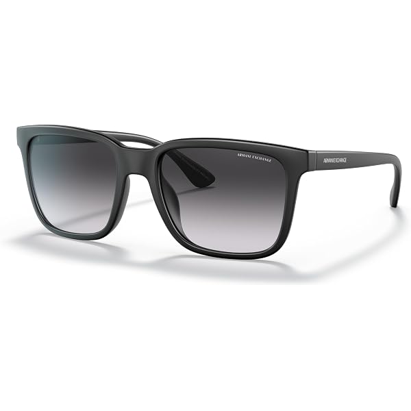 Amazon.com: GIORGIO ARMANI AR8007-5595R5 Sunglasses STRIPED  display picture 3