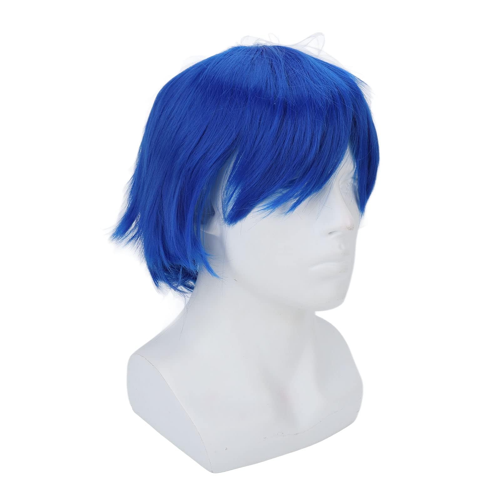 Anime Wig, Short Cosplay Wig Curly Hair Tail Full Wigs Fluffy Stylish Men Fake Wig Natural Anime Party Costume Synthetic Hair Wig with Bangs (Blue)