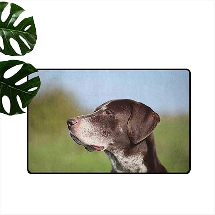 Amazon Com Anzhutwelve Hunting Outdoor Mats German Short Haired