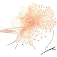 DRESHOW Fascinators Hat Flower Mesh Ribbons Feathers on a Headband and a Clip Tea Party Headwear for Girls and Women