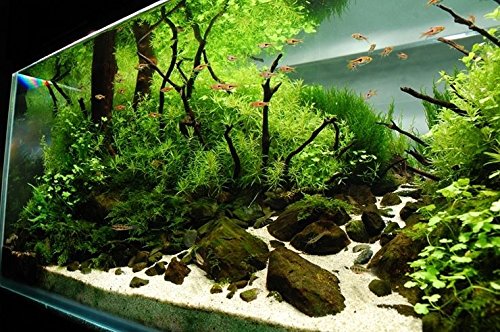 Zeiger Eco Full Spectrum Aquarium led Light 60 inch - 72 inch 150cm-170cm LED Tank Saltwater and Freshwater Lighting Aquarium lamp for Plant Reptile (60 inch 41W) - Thumbnail 6