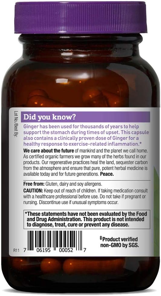 Oregon's Wild Harvest, Certified Organic Ginger Capsules for Stomach Support, Non-GMO, 1000 mgs, 90 Ct: Health & Personal Care