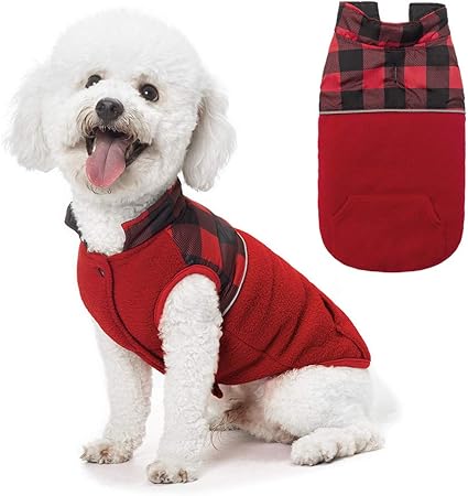 puppy winter clothes