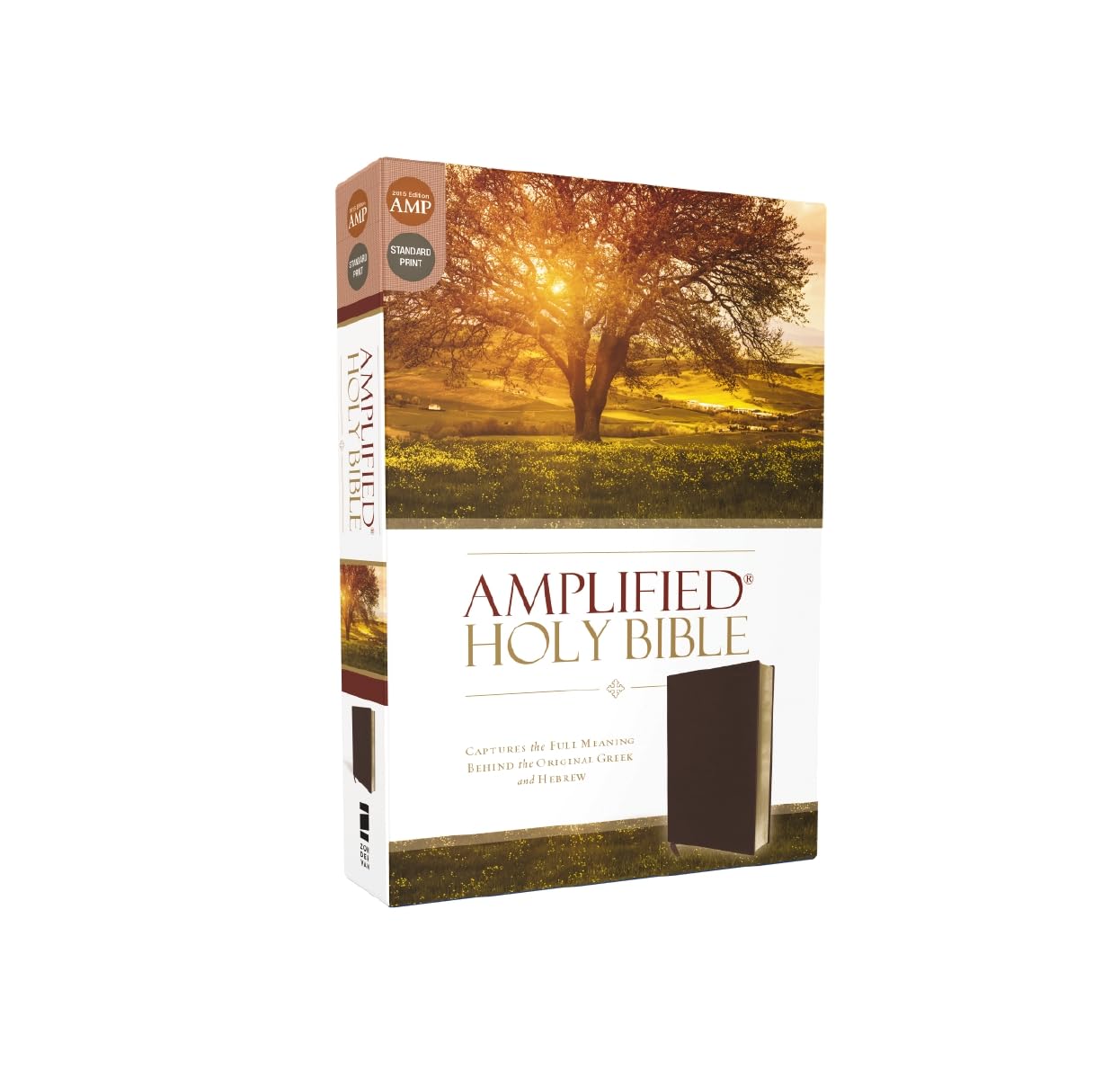 Amplified Holy Bible, Bonded Leather, Burgundy: Captures the Full Meaning Behind the Original Greek and Hebrew Amplified Holy Bible, Bonded Leather, Burgundy: Captures the Full Meaning Behind the Original Greek and Hebrew Bonded Leather