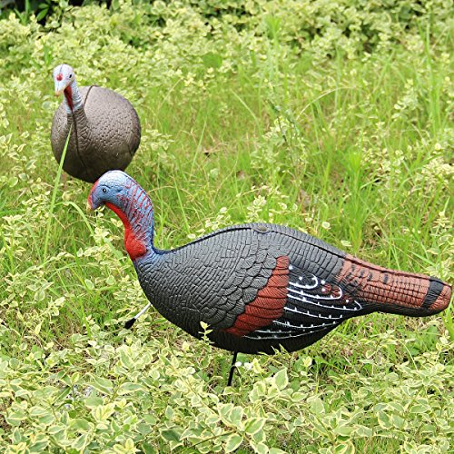 image for TargetEvo 2 Pack Jake & Hen Turkeys Decoy for Hunting with Stakes Carr