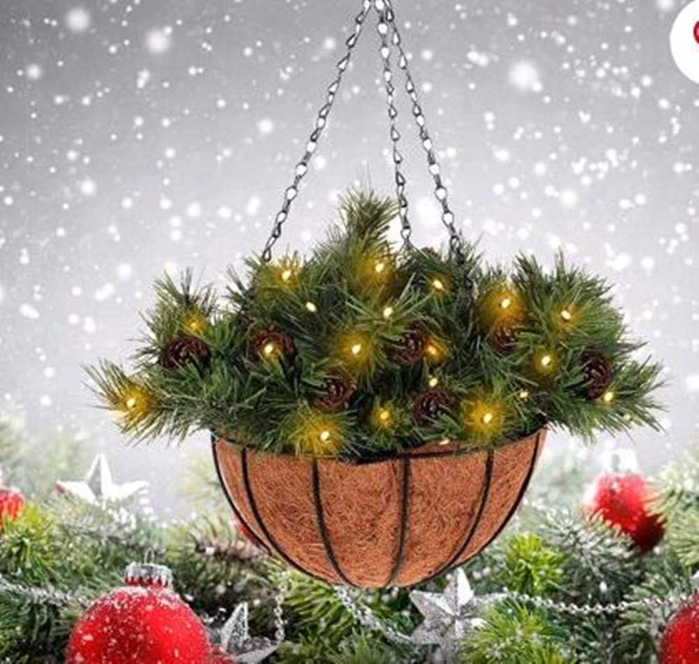 Orgrimmar 2 Pack Metal Hanging Planter Basket With Coco Coir Liner, 8" Round Wire Plant Holder with 18" Hanging Chain for Hanging Plant and Flower: Home Improvement