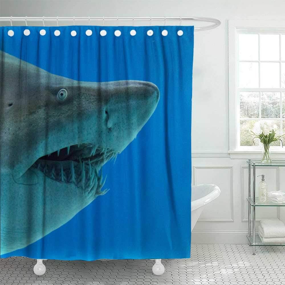 Douecish 72X78 Shower Curtain, Shower Curtain Sand Tiger Shark of Lorenzini Cool Shower Curtain with Hooks Waterproof Eco-Friendly Long Shower Curtain for Bathroom