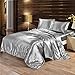FP 4pcs Silk Sheet Set Queen King Size Satin Solid Color Bedding Set with Deep Pocket Fitted Sheet Silk Pillowcase for Hair and Skin (King -Grey)