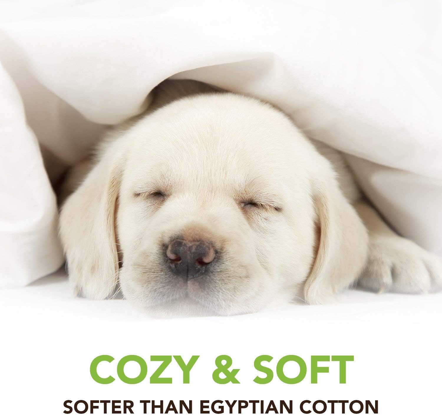 Cosy House Collection Luxury Bamboo Sheets - Hypoallergenic Bedding Blend from Natural Bamboo Fiber - Resists Wrinkles - 4 Piece Bed Sheet Set - 1 Fitted Sheet, 1 Flat, 2 Pillowcases - Queen, White: Home & Kitchen