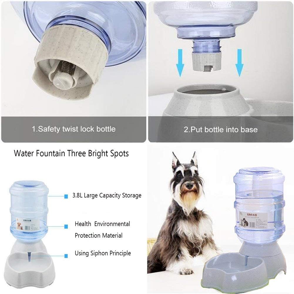 Pet Supplies : Blessed family Cat Water Fountain, Automatic Cat Feeder, Dog Water Dispenser, 1 Gal Pet Automatic Feeder Waterer (Waterer+Feeder) : 