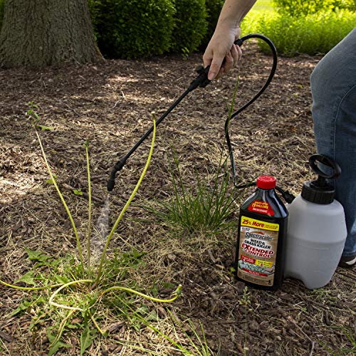 Spectracide Weed & Grass Killer With Extended Control Concentrate, 40