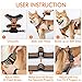 rabbitgoo Dog Harness No Pull with 2 Leash Clips, Adjustable Soft Padded, Reflective Oxford No Choke Pet Vest with Easy Control Handle for Large Dogs,Orange,L