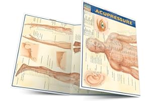 Acupressure: Laminated Reference Guide (QuickStudy Academic)