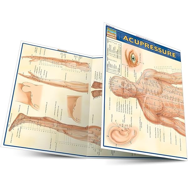 Auriculotherapy Manual 第三版　英語版 Auriculotherapy Manual: Chinese and Western Systems of Ear