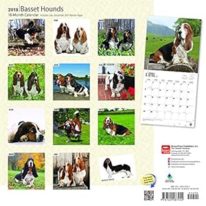 Basset Hounds 2018 12 x 12 Inch Monthly Square Wall Calendar with Foil Stamped Cover, Animals Dog Breeds Hound (Multilingual Edition)