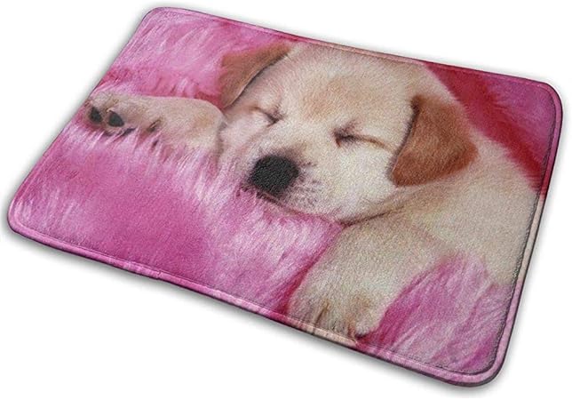 dog bath mat