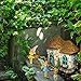 Mood Lab Fairy Garden Fairy Kit - Miniature Fairy Garden Figurines with Accessories - Set of 5 pcs - Hand Painted Set for Outdoor or House Decor