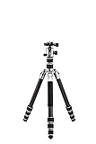 Benro Tripster Travel Tripod/Monopod - 2 Series