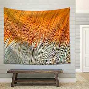 Texture Pheasant Feather - Fabric Wall Tapestry Home Decor - 51x60 inches