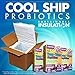Jarrow Formula Yum-Yum Dophilus, 1 Billion Cells Per Capsule, Chocolate, 60 Count (Cool Ship Pack of 3)