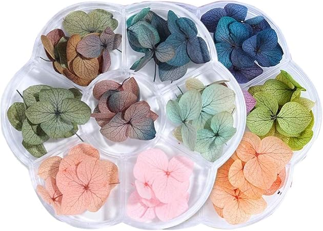 Amazon 2ボックス14色入押し花 紫陽花ドライフラワー レジンデコレーション ネイル アート ハンドメイドアクセサリー Samzo ラインストーン 通販