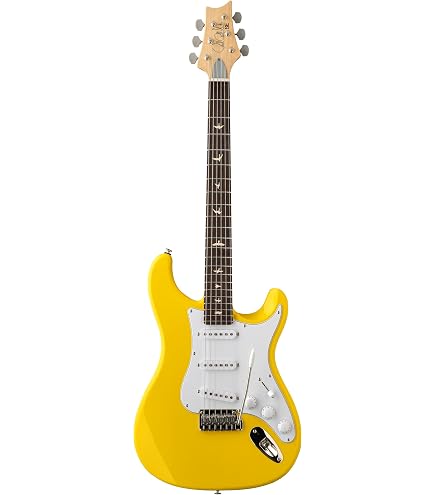 Amazon.com: PRS Guitars 6 String SE Custom 22 Sapphire with Gig
