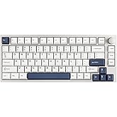 EPOMAKER P75 Wireless Aluminum Mechanical Keyboard, BT 5.0/2.4GHz/USB-C Hot Swappable Custom Keyboard, Gasket Structure, RGB Backlit, for PC/Tablet/PS/Xbox (Silver, Zebra Switch)