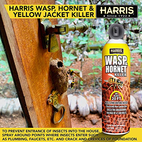 HARRIS Wasp, Yellow Jacket and Bee Killer Spray, 20 Foot Stream