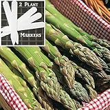 Atlas Asparagus (Organic/heirloom) 325 Seeds Upc 646263363041 + 2 Plant Markers