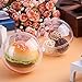 Uten 20Pcs Clear DIY Craft Ornament Christmas Decorations Balls 3.94