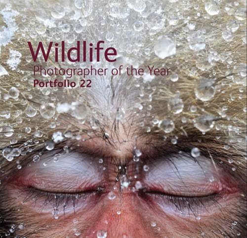 Wildlife Photographer of the Year: Portfolio 22