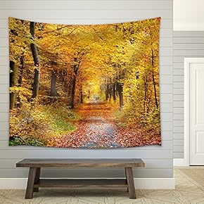 Road in The Autumn Forest - Fabric Wall Tapestry Home Decor - 51x60 inches