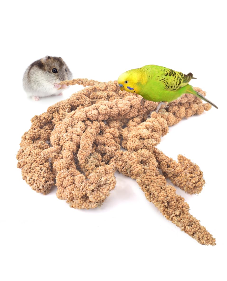 Mua Spray Millet Treat for Pet Birds, Natural SunDried Bird Millet