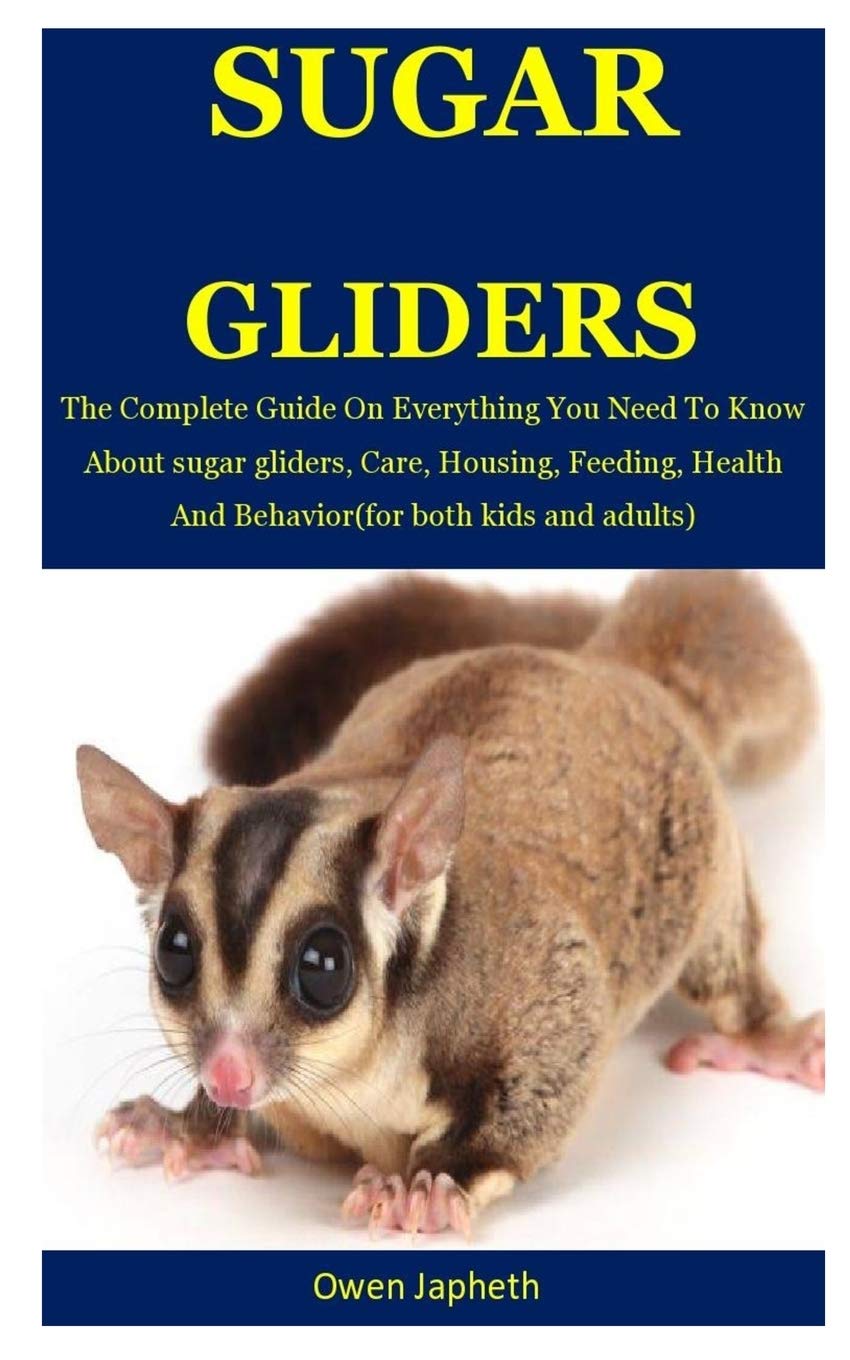 sugar glider pet guide