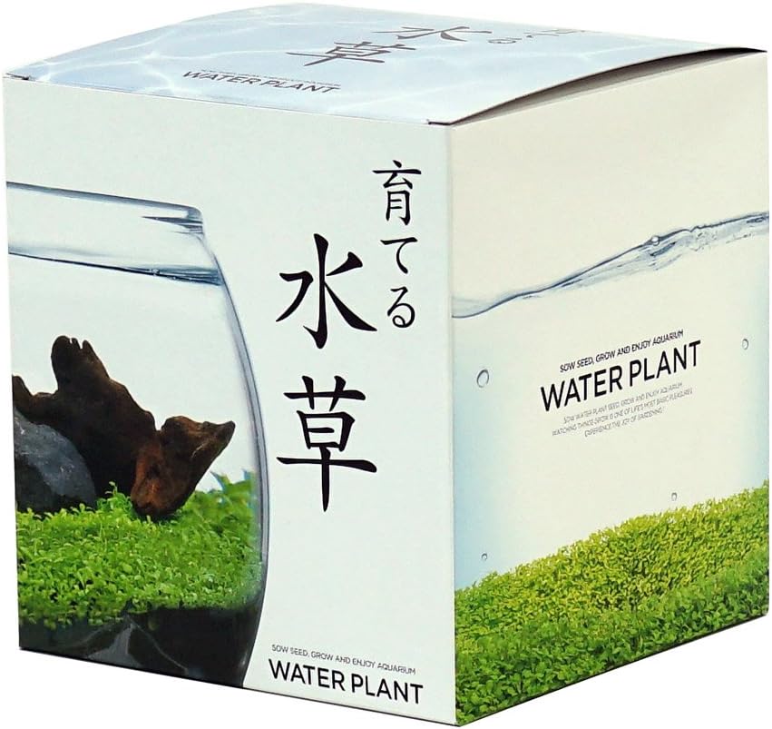 Amazon Co Jp 聖新陶芸 育てる水草 L 約18 2x16 5x16 4cm Gd 813 Diy 工具 ガーデン