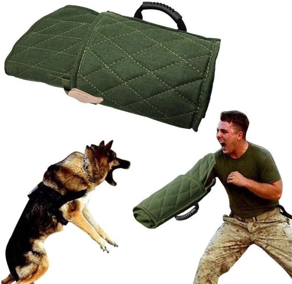 dog protection training gear