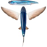 Flying Fish 5-1/2" Slipstream 140 by Nomad Design