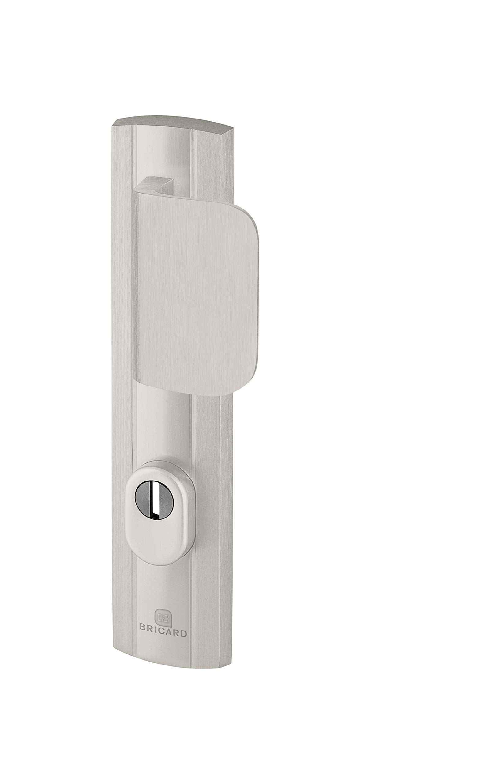 Bricard Expression 9910071 Door Handle Set with Push Plate, Side Stand and Spoiler for Entrance Door, Silver