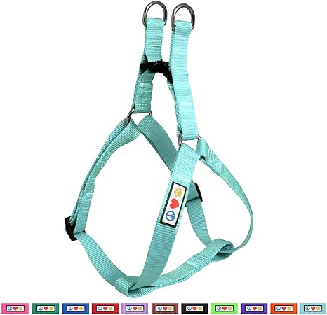 teal dog harness