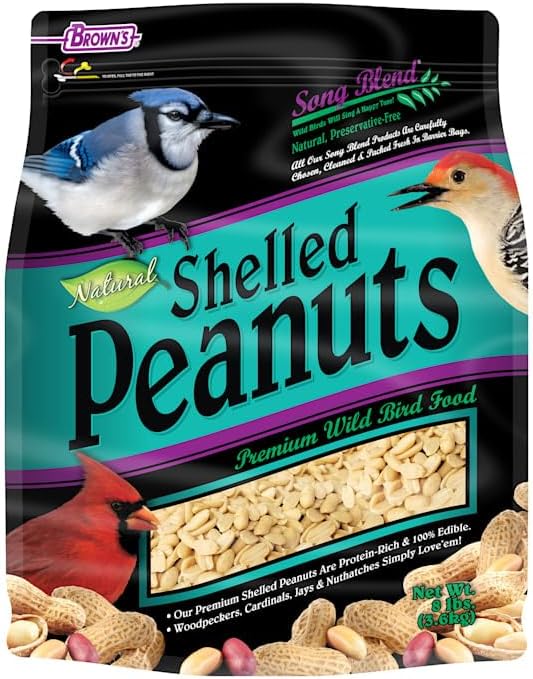 Backyard Birding & Wildlife - Song Blend Natural Shelled Peanuts, 8 lbs.